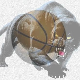 panthers4.jpg